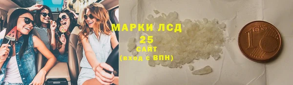 PSILOCYBIN Аркадак