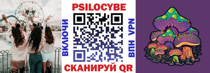 Псилоцибиновые грибы Psilocybe Старая Купавна