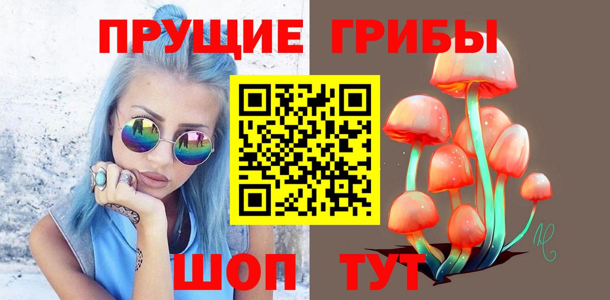 Галлюциногенные грибы Psilocybe  Вход с VPN  Старая Купавна 