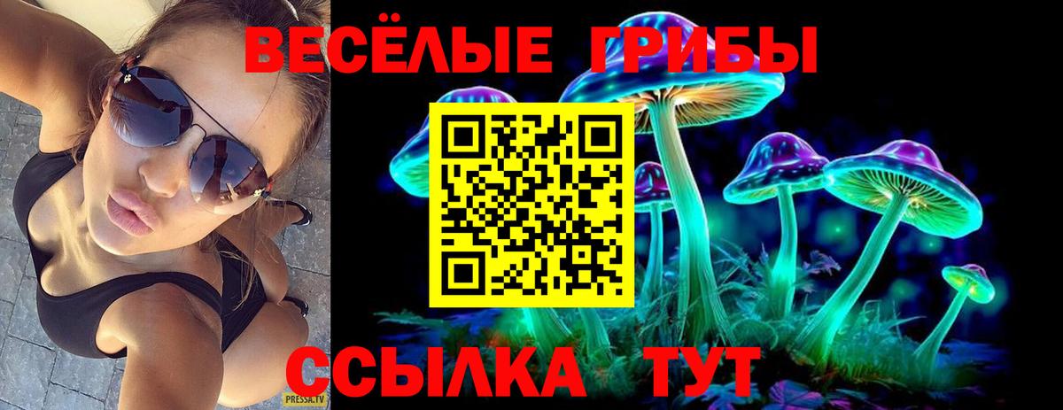 Галлюциногенные грибы Magic Shrooms Старая Купавна